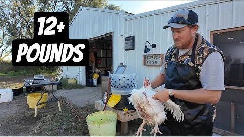 Breaking Down Giant Cornish Cross Meat Chickens!