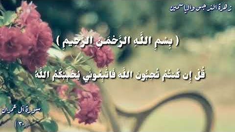 مقطع قصير من سورة آل عمران//حالات واتس اب دينية