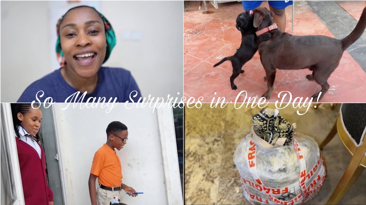 Два брата, один дом | День, полный сюрпризов! | Распаковка нескольких вещей и многое другое