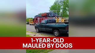 1yearold boy mauled to death by 3 dogs at Duncanville home