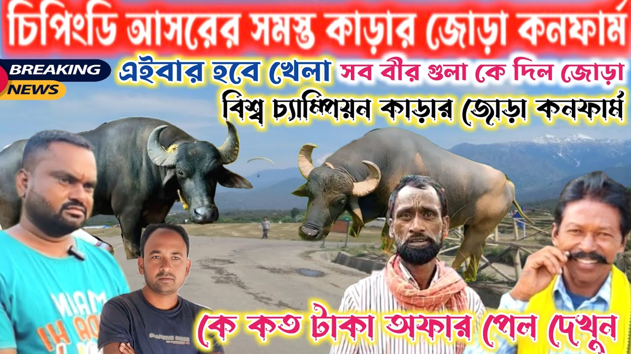 ১৩ই জৈষ্ঠ্য চিপিংডি আসরের সমস্ত কাড়ার জোড়া কনফার্ম সব বীর কাড়া গুলা দিল জোড়া এই বার হবে আসল খেলা