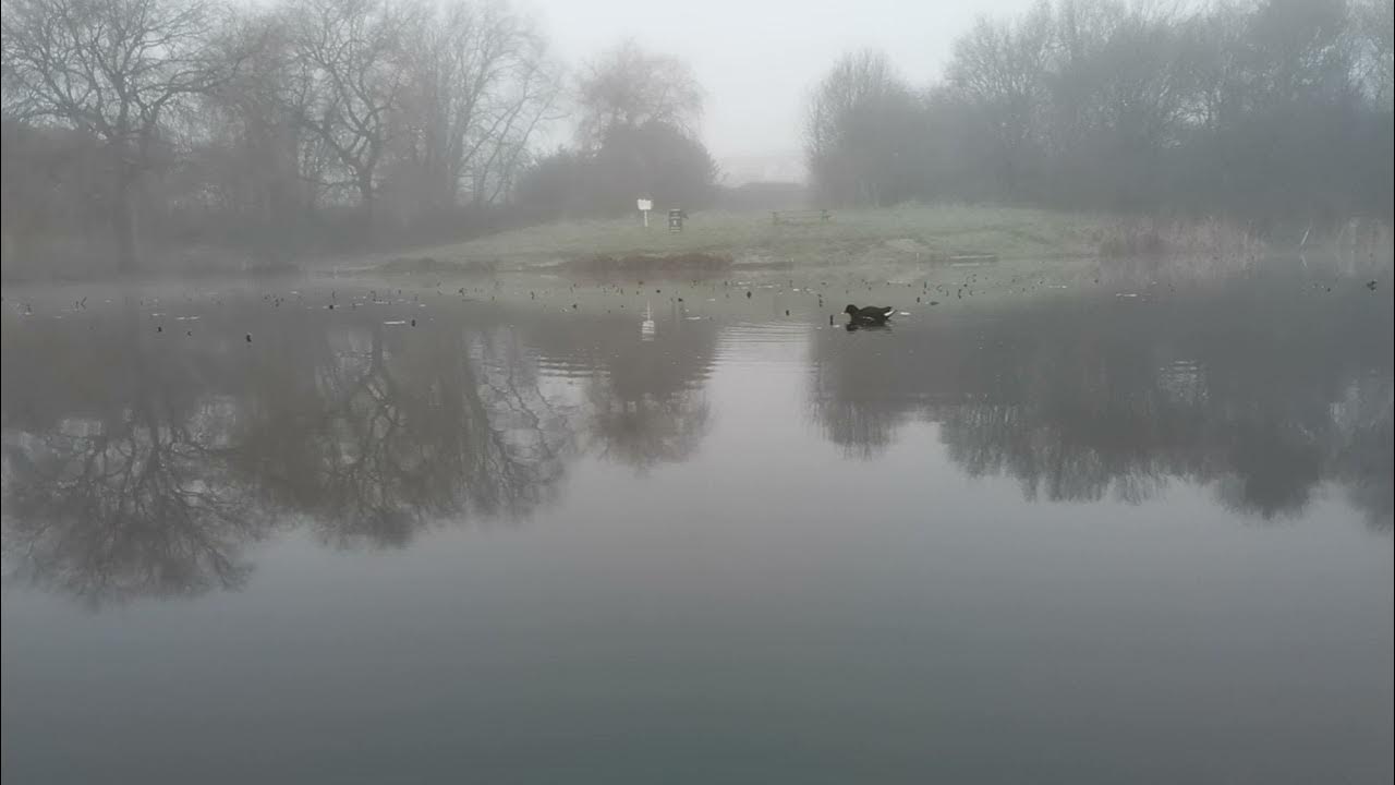 Foggy Sammies Pool, Fenton, Stoke on Trent. YouTube