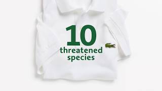 lacoste t shirt endangered species