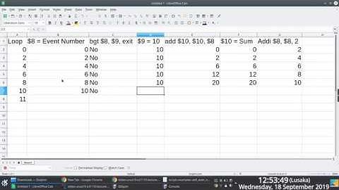 [Excerpts] MIPS Assembly Language: Loop Execution Walkthrough