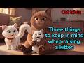 【How to Care for a Kitten】 Three Things to Keep in Mind When Bringing Home a Kitten.