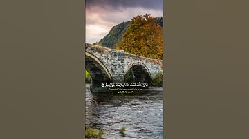 آيات بينات من الذكر الحكيم بصوت رائع وجميل ❤ #القرآن_الكريم #المصحف #المغرب #اكسبلور