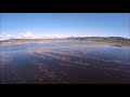 Wapato Lake National Wildlife Refuge Opening To Public Access In Fall 2020 Wapato Lake National Wildlife Refuge Opening To Public Access In Fall 2020