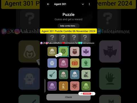Agent 301 Puzzle