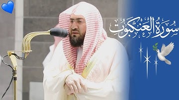 الشيخ د. بندر بليلة _يتآلق بخشواع وسكينه ليس لها مثيل بقراءة فى ( سورة العنكبوت ) لعام 1442هـ