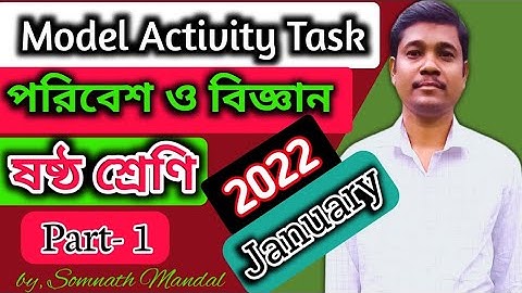 Class 6 Science Model Activity Task Part 1 January | Model Activity Task 2022