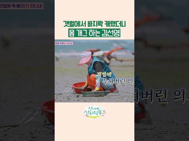 개그캐 김선영 ㅋㅋ #언니네산지직송3