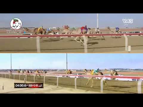 الشوط 15 مشغله ل محمد سيف فاضل المزروعي 9 11 8 جائزة زايد الكبرى 2020 12 6 الوثبه الايذاع