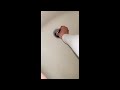 Quickly installing in my shower | TubShroom