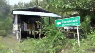 Тайланд о Ко  КуД  дорога по джунглям в отельThailand Koh Kood on the road to the hotel