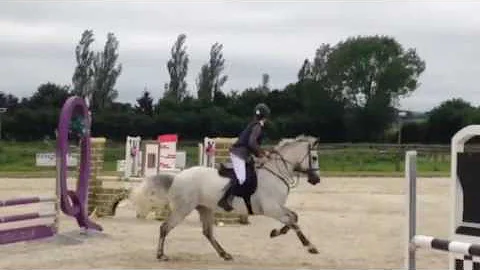 Ronnie at Quainton stud