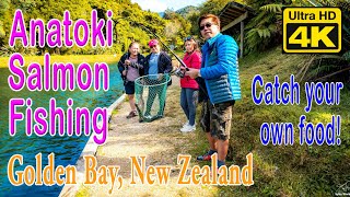 Anatoki Salmon Fishing Experience