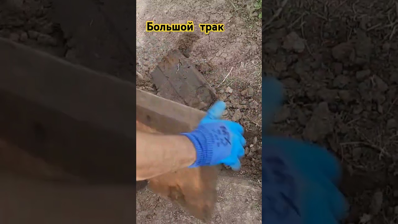 Большой трак#коп #поиск #природа #металоискатель