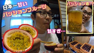 糖度22.6度！日本一甘いパッションフルーツを頂きました【#奄美大島】