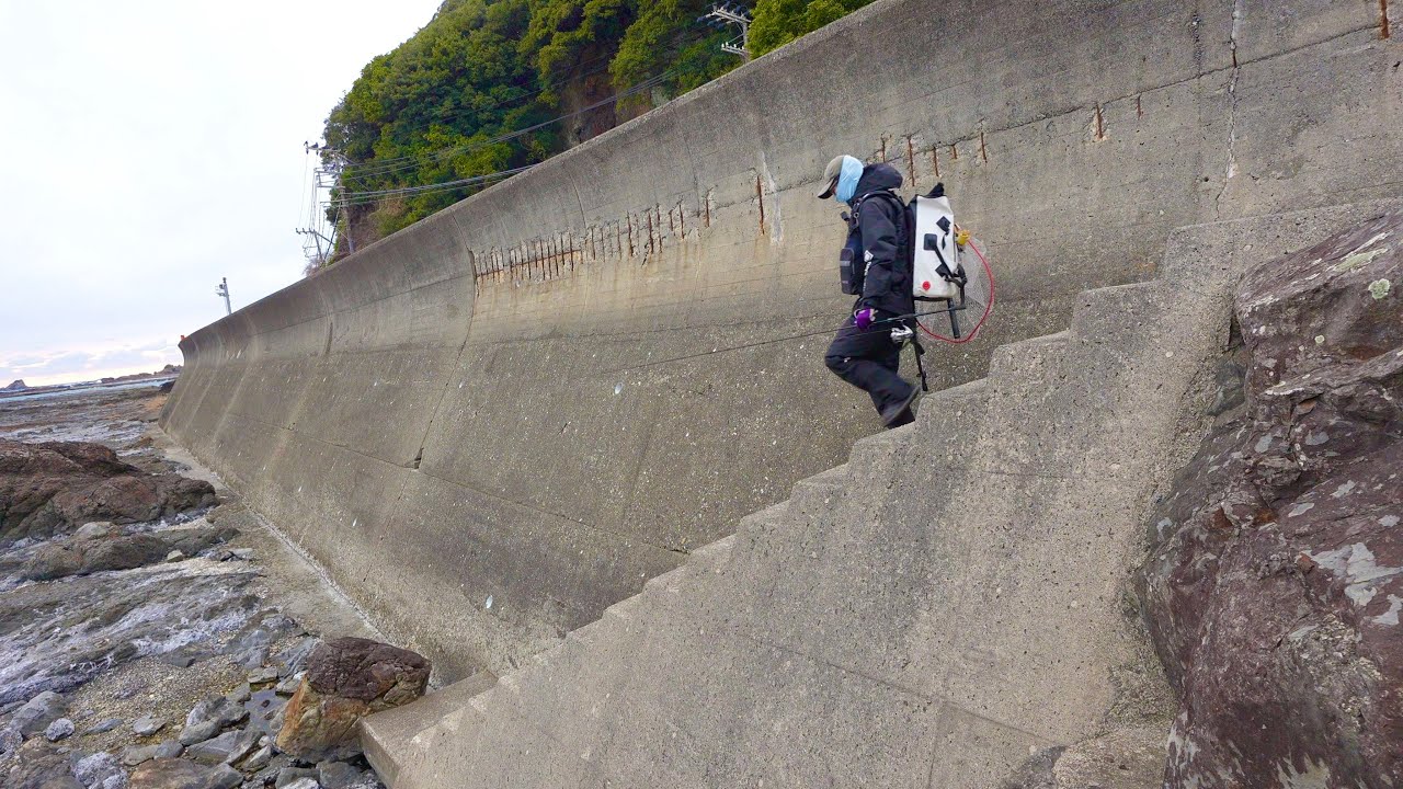 【発見】道路横のポイントは大型が回遊してくる凄い場所だった。。