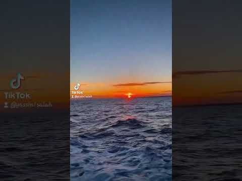 سنين يعيش راضي وهو خسارة مش مبسوط وائل جسار حالات واتس