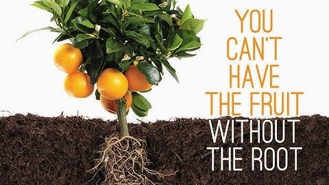 Rooted Before Fruitful