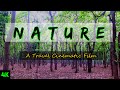 NATURE - Travel Cinematic Film | Travel Cinematic Video | In To The Nature