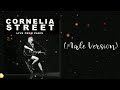 Taylor Swift- Cornelia Street (Live From Paris) Male Version