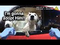 When GOOD Cops Are SO COOL! (Very Heart Melting Encounters)