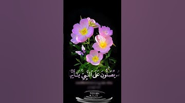 صباح الخير 🌸 اجمل حالات واتس اب مقاطع قصيره🌸 قران كريم ان الله وملائكته يصلون على النبي🌸 بدون حقوق