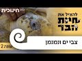 להציל את חיות הבר עונה 2 | צבי ים ונמנמן 🐢