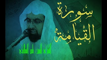 سورة القيامة - ناصر القطامي