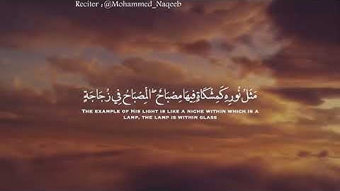 حالات واتساب قرآن كريم | الله نور السماوات والأرض بصوت القارئ محمد النقيب