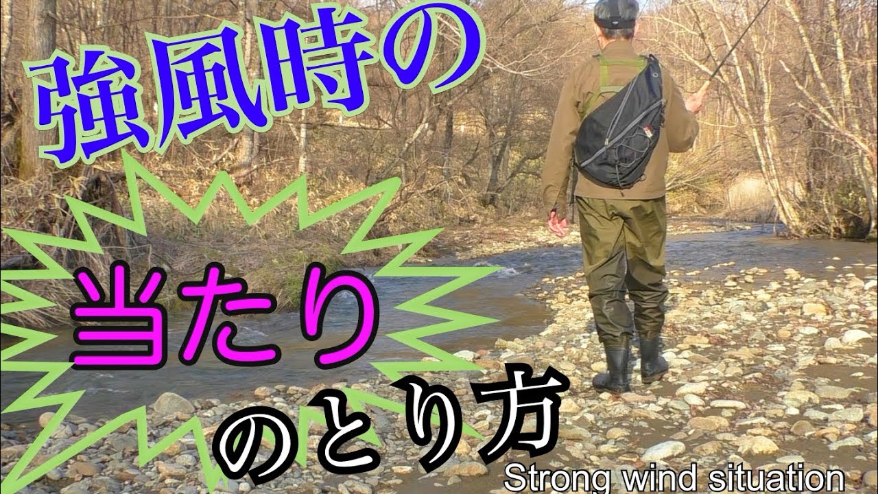 Download テンカラ釣り 入門 日高の渓で強