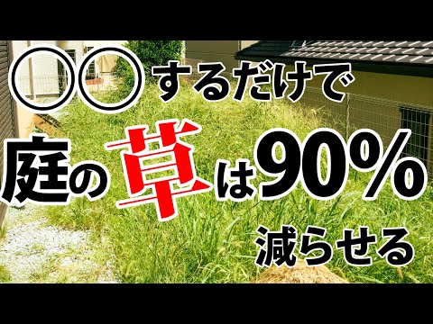 週末にお庭の草むしりをしなくてよくなる方法を実践【雑草対策をしたい方向け】