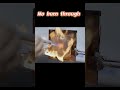 What happens when 2mm PP meets direct flame? #PP #FlameRetardant #MaterialTesting #plasticsindustry
