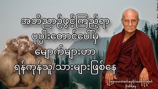 ရန်ကုန်သူ/သားတွေ ပုပ္ပါးမှာ ဘာ​ကြောင့်မျောက်သွား ဖြစ်နေသလဲ