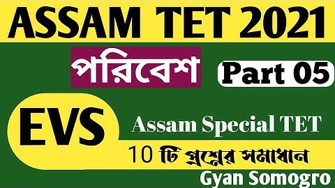 EVS Class for Assam TET || Assam special TET 2021