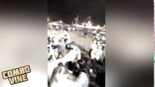 Combo Vine №19