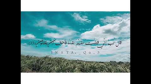 سورة القصص - #مالك_العمودي