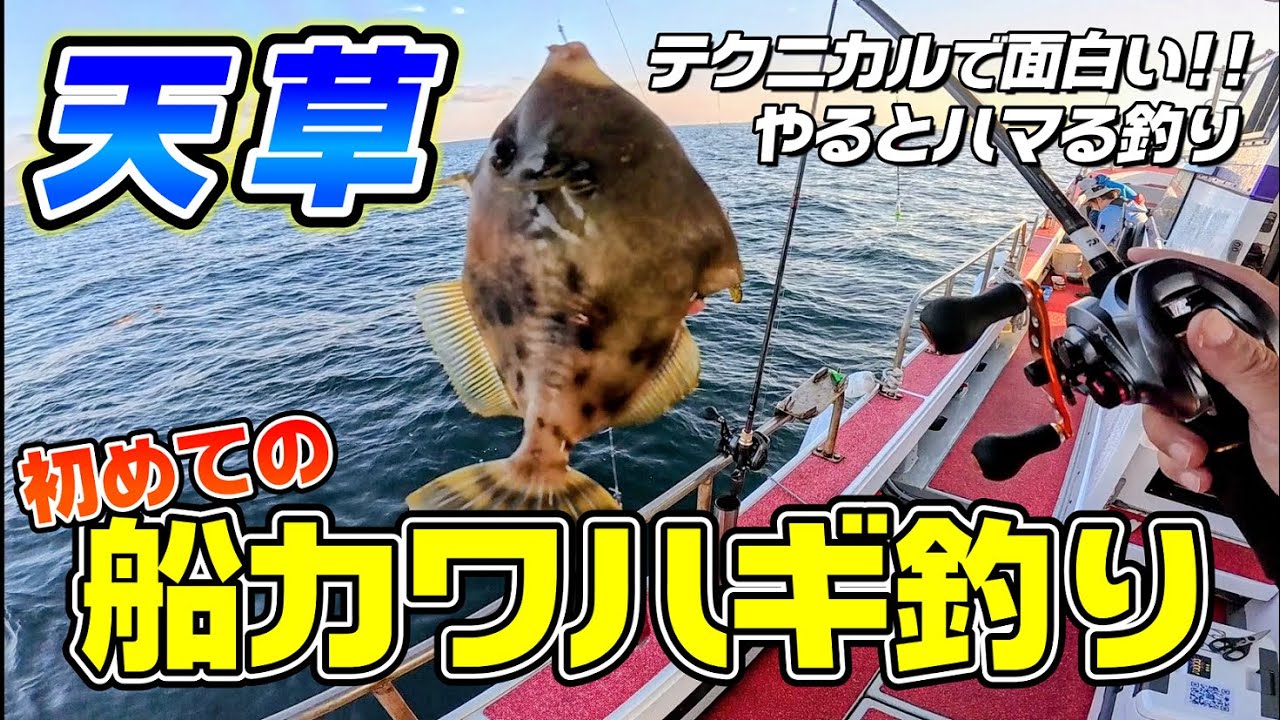 【天草の船で釣るカワハギはデカい！】ゲーム性が面白い！初めてだけどこれはハマる釣り