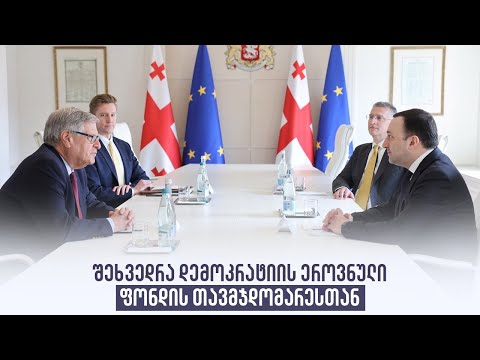 შეხვედრა დემოკრატიის ეროვნული ფონდის თავმჯდომარესთან