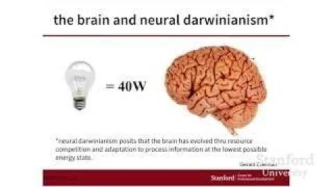 Stanford Webinar: How to Cultivate Creativity Using Design Thinking - The Best Documentary