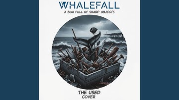 A Box Full of Sharp Objects