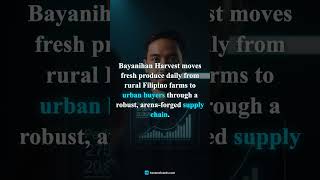 HavenWizards: Building Real Operational Systems for PH Ventures