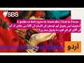 A guide to fuel types in Australia | Fuel in Focus - آسٹریلیا میں پٹرول اور ایندھن کی اقسام کی...
