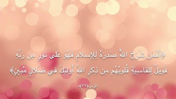 سورة الزمر الآية (22 ــ31) للقارئ عبد العزيز الزهراني