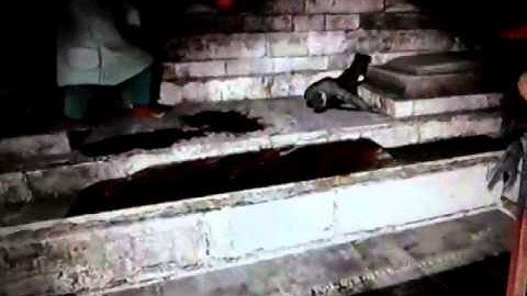 SD react-ep.133:VG Gmod Scary Map Not Really p3