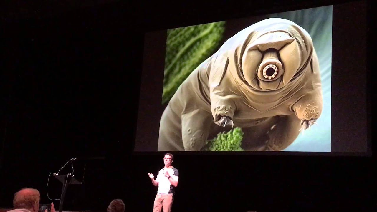 Economics of Continuous Integration - Dr. Adrian Perreau de Pinninck