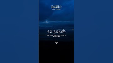 تلاوة خاشعة للشيخ ناصر القطامي من سورة المائدة ﴿ أفلا يتوبون إلى الله ﴾ 🌹