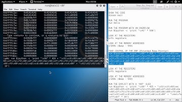 Ethical Hacking Course: Module 18 - Buffer Overflow Lab Session